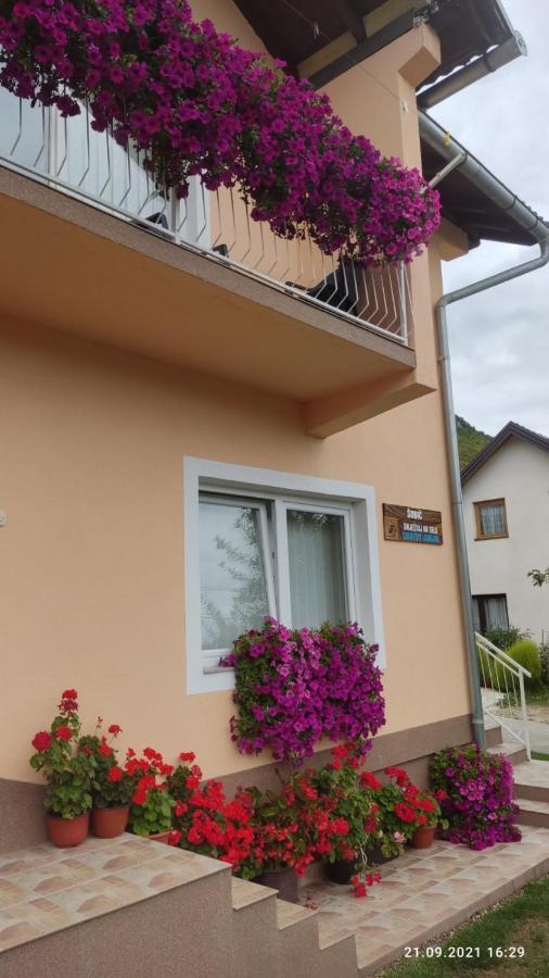 Guest House Sobic Sipovo 외부 사진